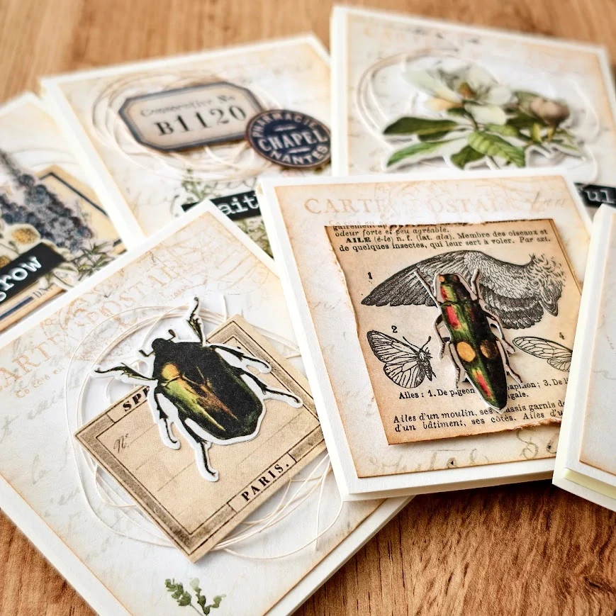 POST-IT BLOČEK | Ze starého herbáře - brouci (868)