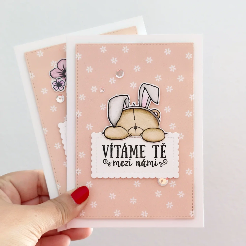 PŘÁNÍ K NAROZENÍ HOLČIČKY - s medvídkem