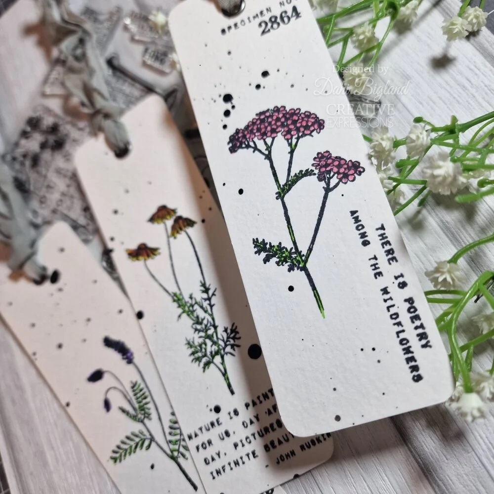 Creative Expressions - MEADOW BEAUTY - silikonové razítko