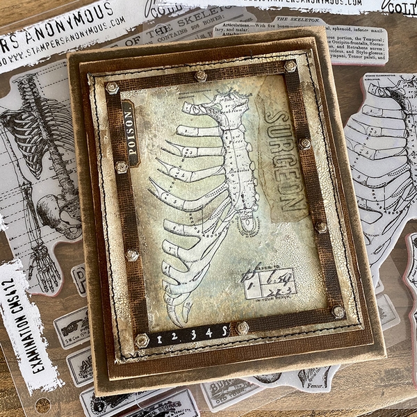 Tim Holtz - ANATOMY CHART - cling razítka