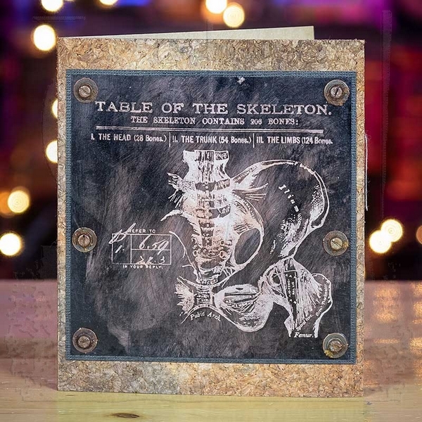 Tim Holtz - ANATOMY CHART - cling razítka