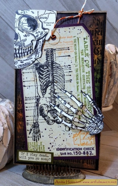 Tim Holtz - ANATOMY CHART - cling razítka