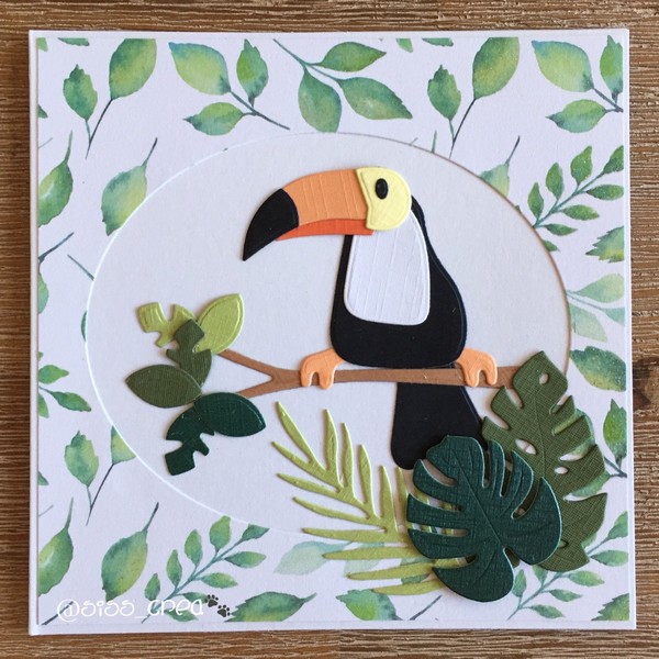 *** Marianne - TOUCAN - vyřezávací šablony
