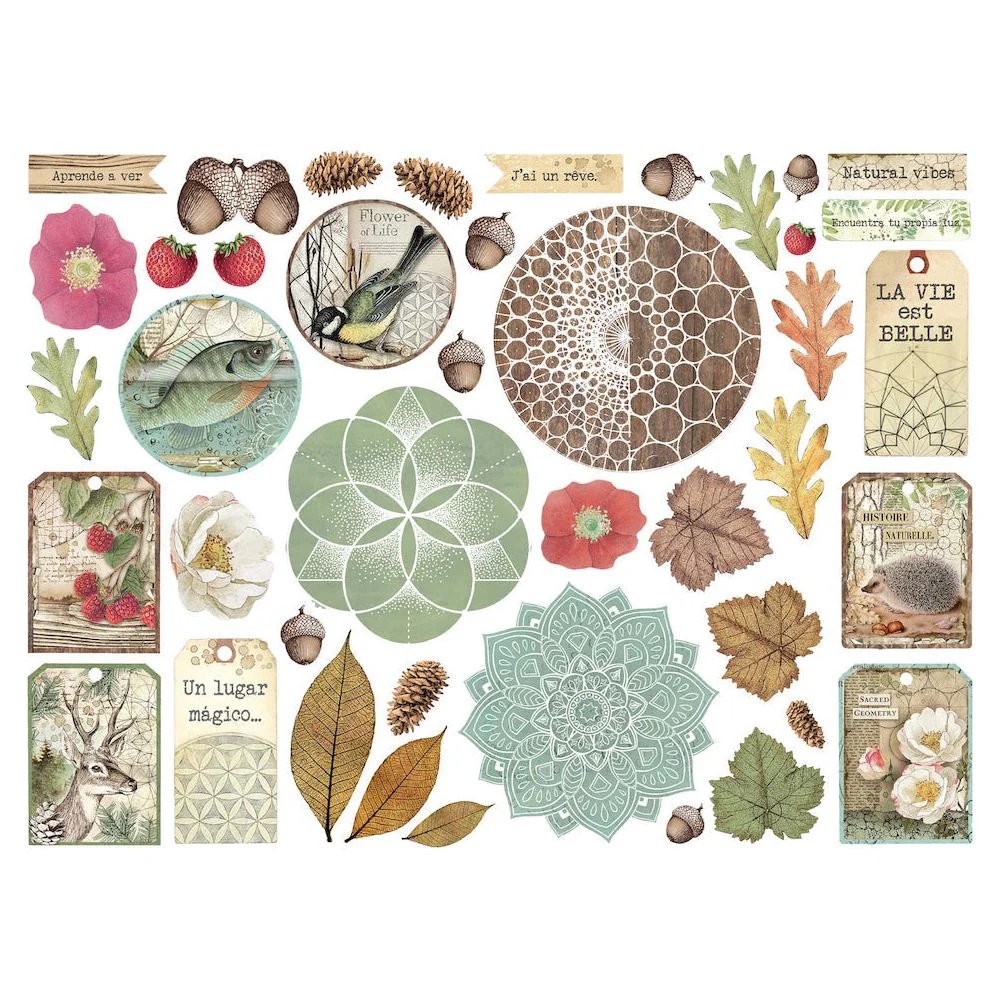 Stamperia - FOREST Chipboard Die Cuts - kartonové výřezy