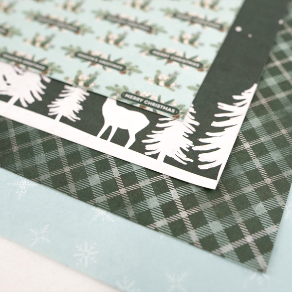 *** First Edition - ARCTIC WONDER 8x8 - scrapbookové čtvrtky (48 ks)