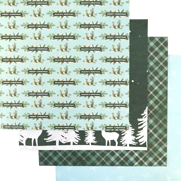 *** First Edition - ARCTIC WONDER 8x8 - scrapbookové čtvrtky (48 ks)