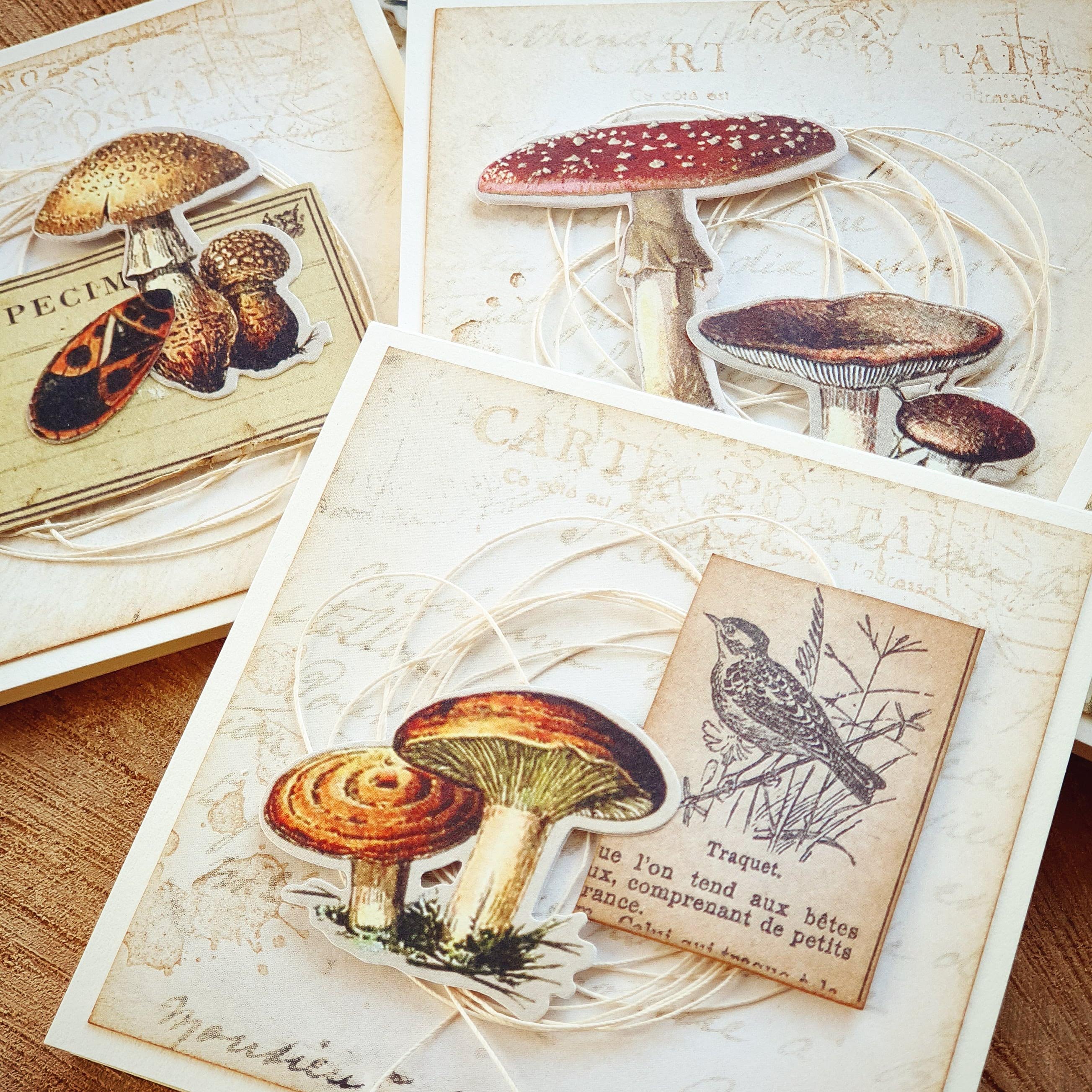 Pretty Papers - POST-IT BLOČEK / FIELD NOTES - originální a ručně vyrobený