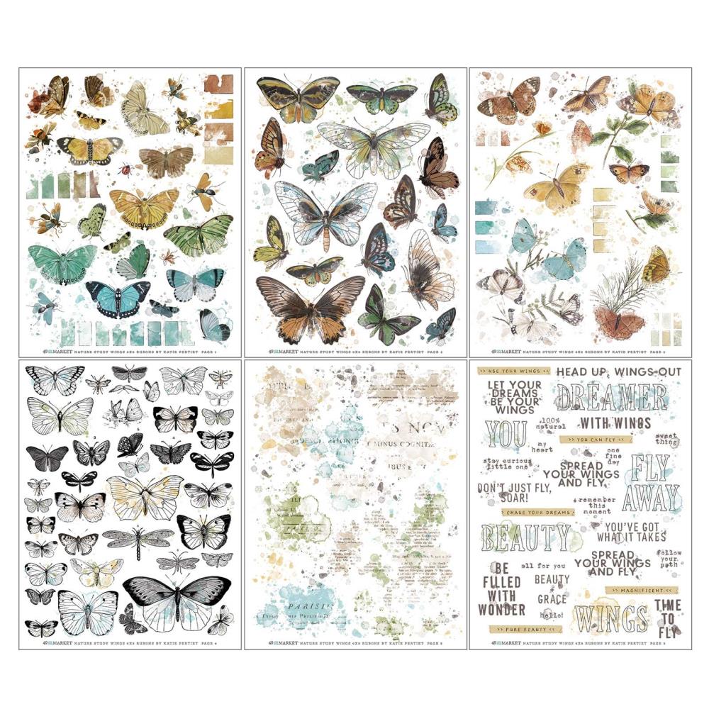 49 & Market - NATURE STUDY / WINGS Rub-Ons - propisoty  (6 archů)