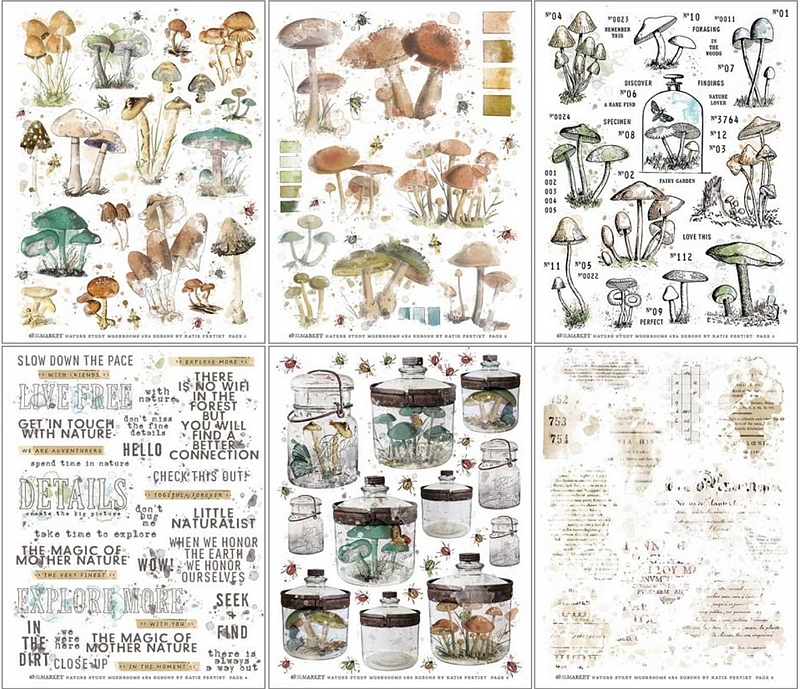 49 & Market - NATURE STUDY / MUSHROOM Rub-Ons - propisoty  (6 archů)