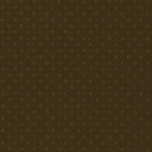 Bazzill Basics - DOTTED SWISS / BOARDWALK - scrapbooková čtvrtka
