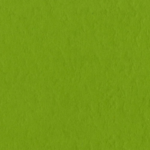 Bazzill Basics - GRASS CLOTH / Intense Kiwi - scrapbooková čtvrtka