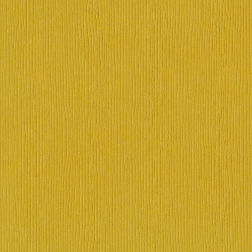 Bazzill Basics - CANVAS / Amber - scrapbooková čtvrtka
