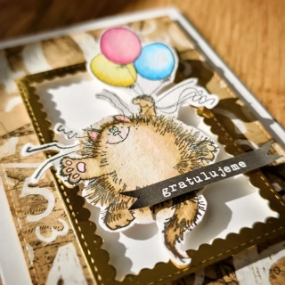 PŘÁNÍ K NAROZENINÁM - kočka s balónky