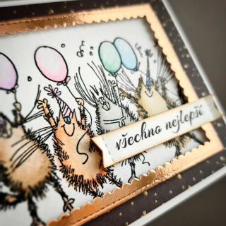 PŘÁNÍ K NAROZENINÁM - kočičí párty