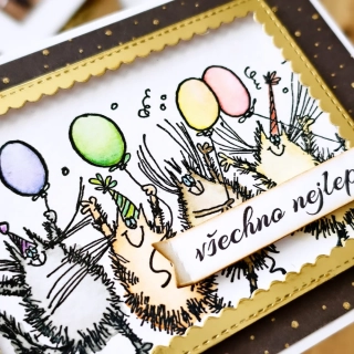 PŘÁNÍ K NAROZENINÁM - kočičí párty