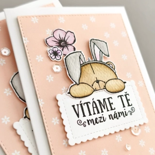 PŘÁNÍ K NAROZENÍ HOLČIČKY -  medvídek s kytičkami