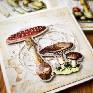 POST-IT BLOČEK | Ze starého herbáře - muchomůrka (853)