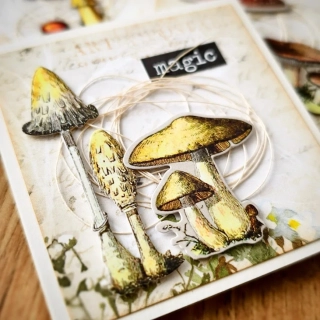 POST-IT BLOČEK | Ze starého herbáře - houby (856)