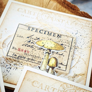 POST-IT BLOČEK | Ze starého herbáře - houby (866)