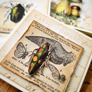 POST-IT BLOČEK | Ze starého herbáře - brouci (869)
