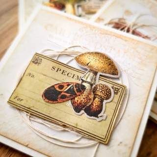 POST-IT BLOČEK | Ze starého herbáře - brouci (870)