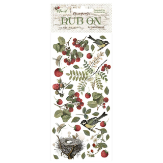 Stamperia - FOREST #2 Rub-Ons - propisoty