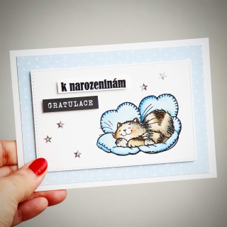 PŘÁNÍ K NAROZENINÁM - kočka na obláčku hnědá