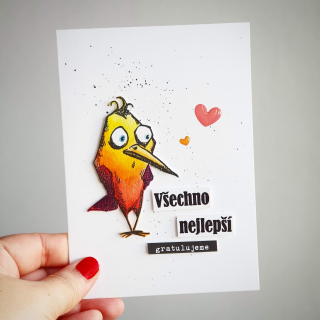 PŘÁNÍ K NAROZENINÁM - Crazy Birds od Tima Holtze