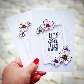 PŘÁNÍ K NAROZENINÁM / PRO RADOST - "Celý svět ti leží u nohou"