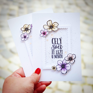 PŘÁNÍ K NAROZENINÁM / PRO RADOST - "Celý svět ti leží u nohou"