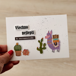 PŘÁNÍ K NAROZENINÁM - alpaka a kaktusy