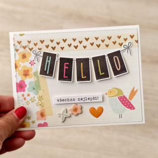 PŘÁNÍ K NAROZENINÁM - letní barvy s ptáčkem "Hello"
