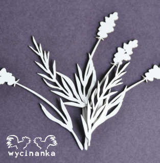 Wycinanka (524) - HERBS & FLOWERS / TRÁVY A BYLINY - kartonové výřezy