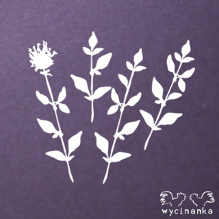 Wycinanka (528) - HERBS & FLOWERS / TRÁVY A BYLINY - kartonové výřezy