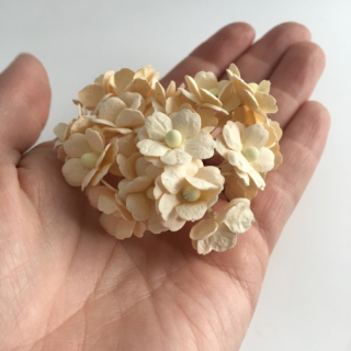 Papírové kytičky - SWEETHEART BLOSSOMS / DEEP IVORY 15 mm (10 ks)