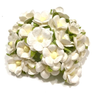Papírové kytičky - SWEETHEART BLOSSOMS / WHITE WITH LEAVES 15 mm (10 ks)