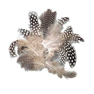Efco - FEATHERS / GUINEA FOWL - kropenaté peří (36 ks)