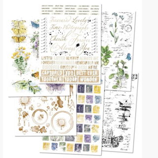 49 & Market - CURATORS BOTANICAL Rub-Ons - propisoty (6 archů)