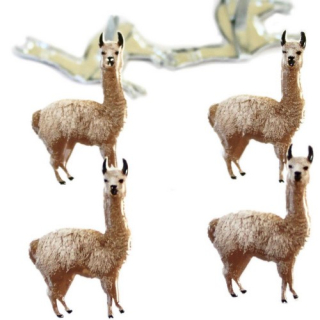 Eyelet Outlet - LLAMA Brads - ozdobné svorky