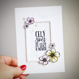 Pretty Papers - HANDMADE PŘÁNÍ / NAROZENINY - originální ručně vyrobené přání