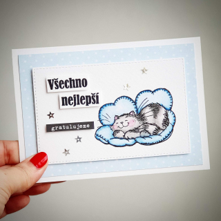 Pretty Papers - HANDMADE PŘÁNÍ / NAROZENINY - originální ručně vyrobené přání