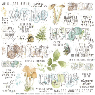 49 & Market - NATURE STUDY / SENTIMENTS Rub-Ons - propisoty