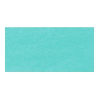 Darice - TISSUE PAPER / LIGHT BLUE (8 ks) - hedvábný papír