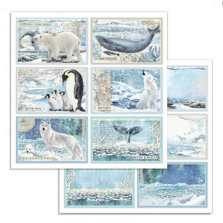 *** Stamperia - ARCTIC ANTARCTIC / SBB732 - scrapbooková čtvrtka