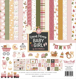Echo Park - SPECIAL DELIVERY BABY GIRL Collection Kit - kompletní sada