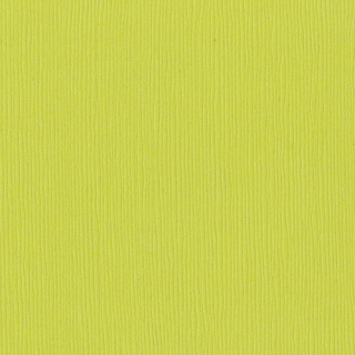 Bazzill Basics - GRASS CLOTH / Granny Smith - scrapbooková čtvrtka