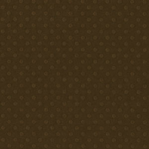 Bazzill Basics - DOTTED SWISS / BOARDWALK - scrapbooková čtvrtka