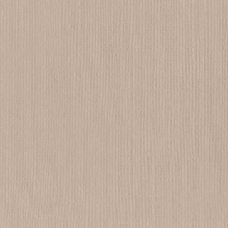 Bazzill Basics - CANVAS / TWIG - scrapbooková čtvrtka