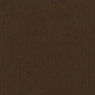Bazzill Basics - CANVAS / BROWN - scrapbooková čtvrtka