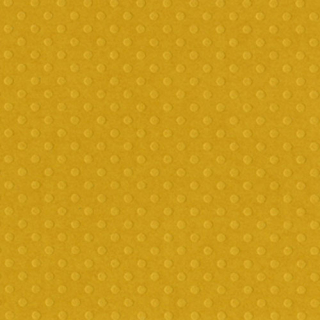 Bazzill Basics - DOTTED SWISS / Honey - scrapbooková čtvrtka